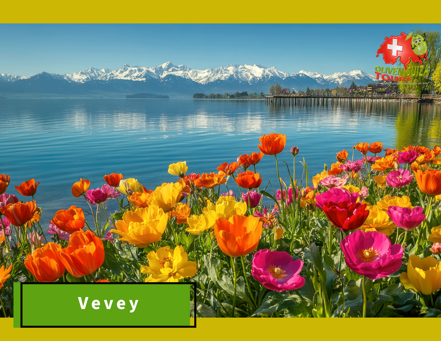 Regional: Lausana - Glacier 3000 - Vevey - Ginebra