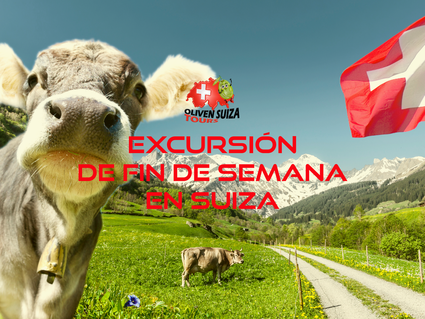 Excursión en Suiza por Tres Días - Fin de Semana