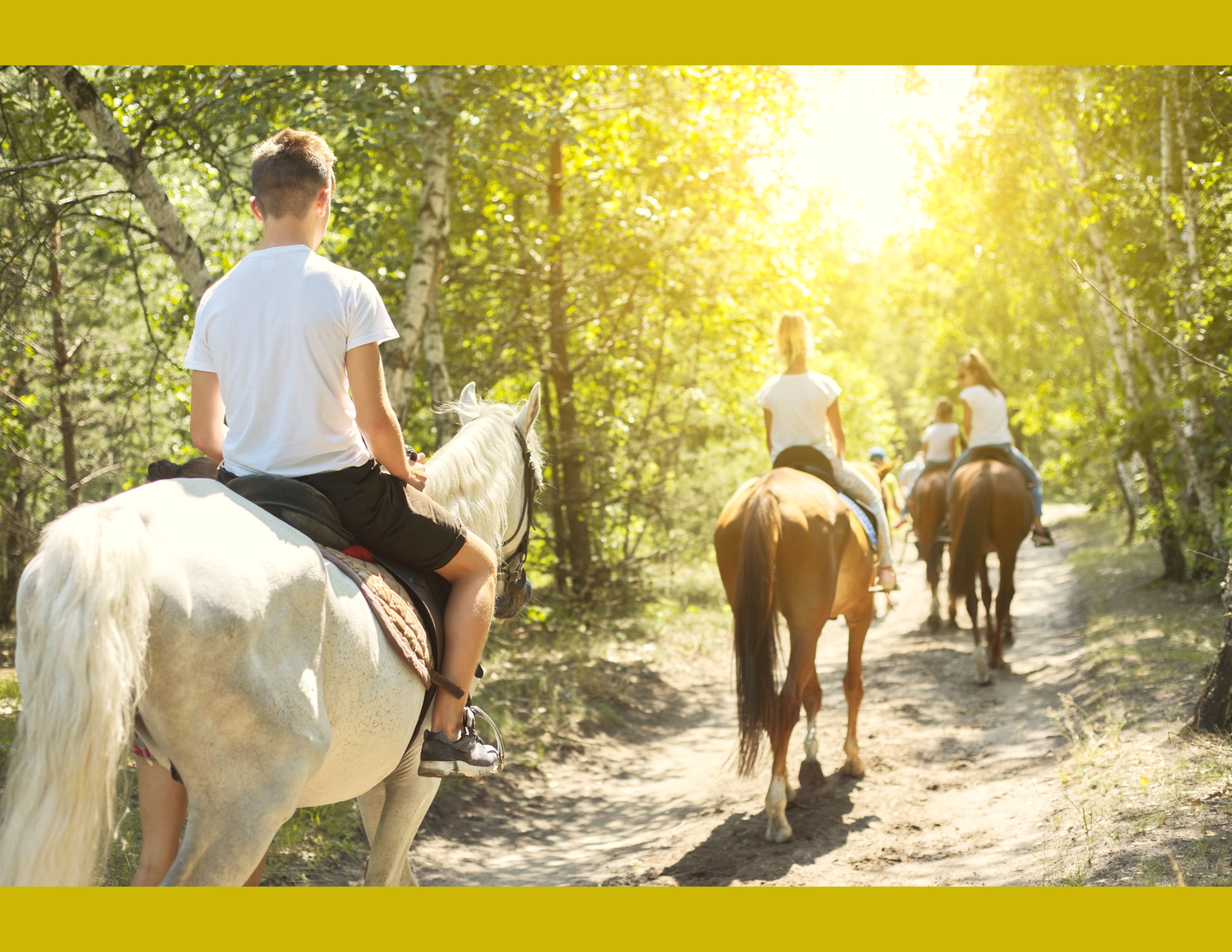 Montar a Caballo en Suiza - 1 Hora