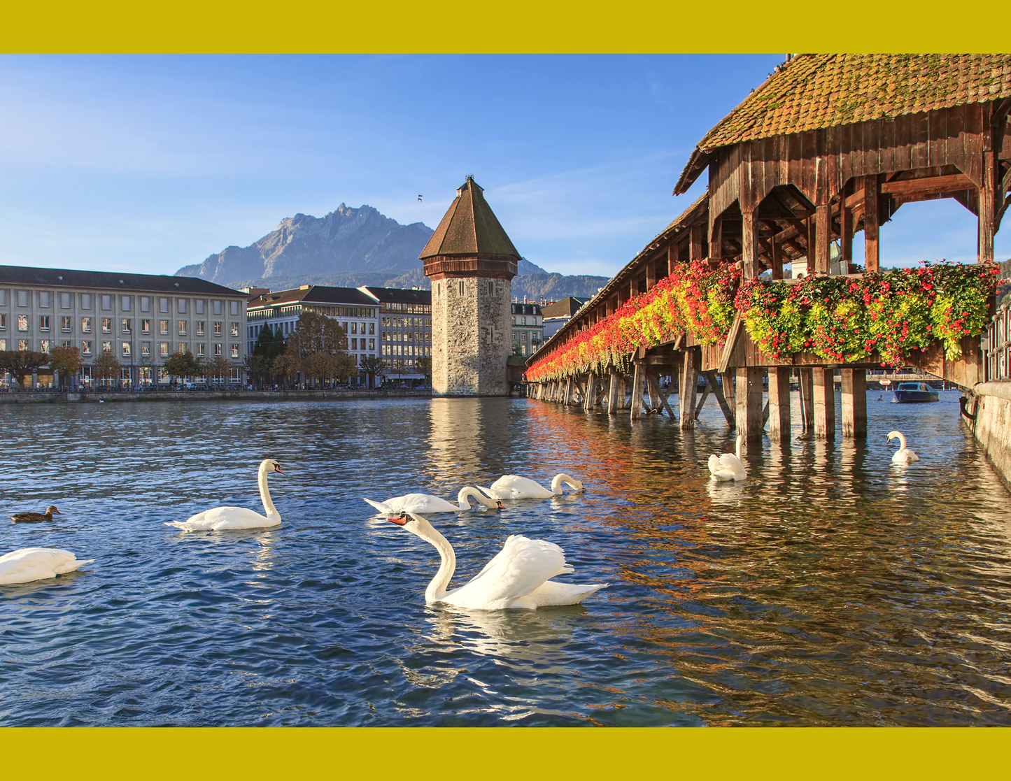 Berna Capital - Interlaken - Lucerna Medieval - Lago de Brienz - Un día