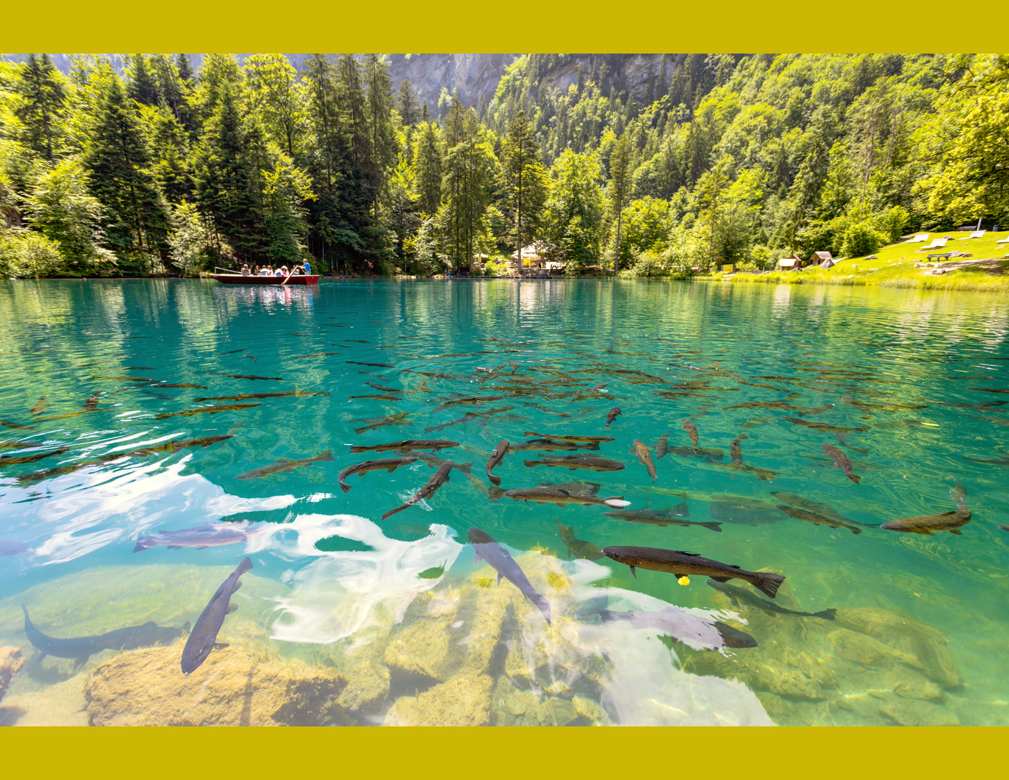 Ciudad capital Berna - Blausee - Interlaken Harder Kulm