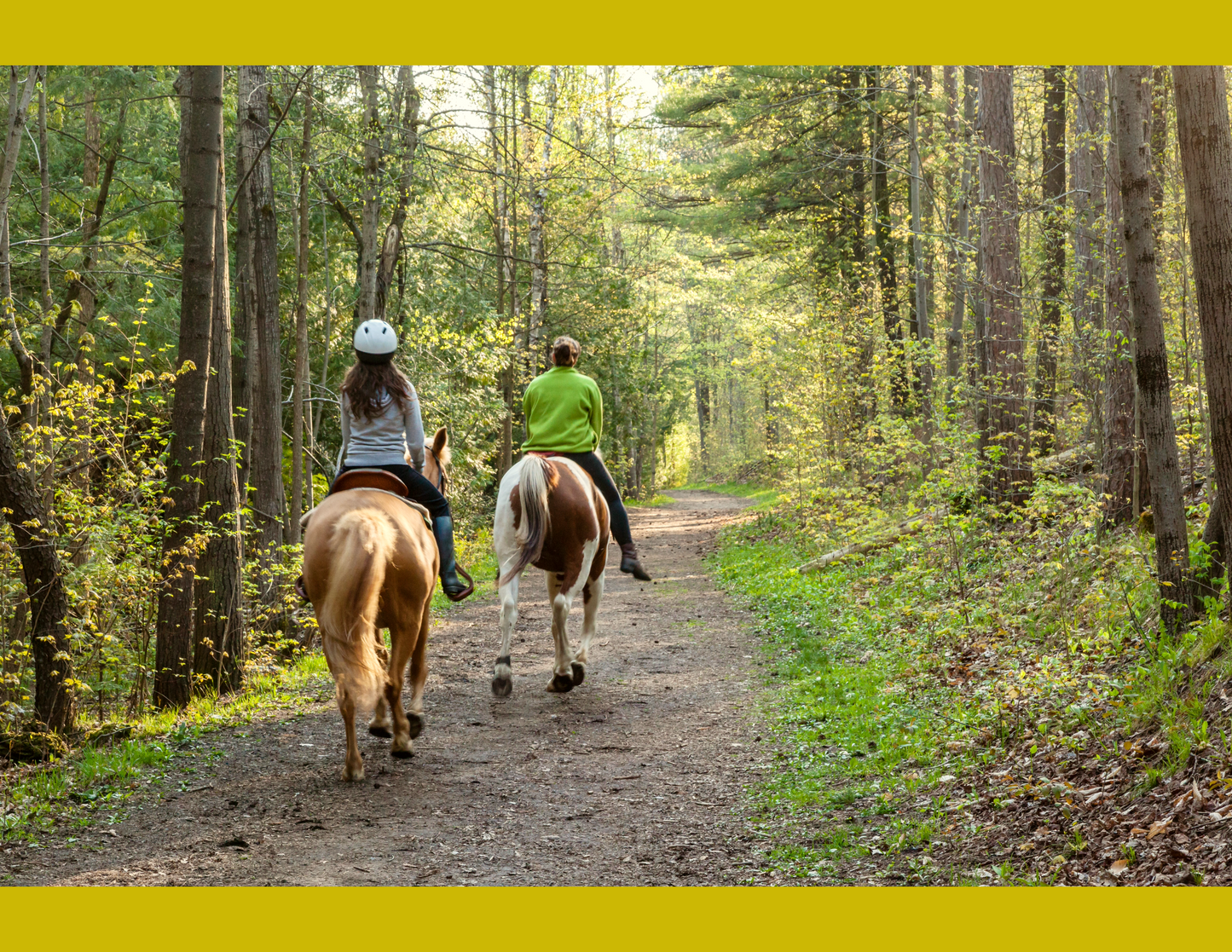 Montar a Caballo en Suiza - 1 Hora