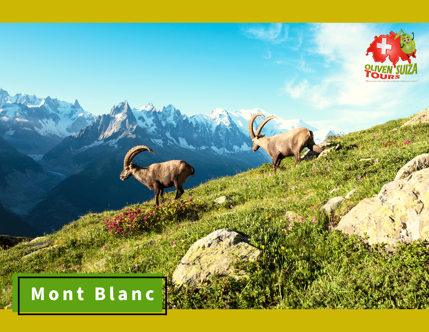 Regional: Ginebra - Annecy - Mont Blanc
