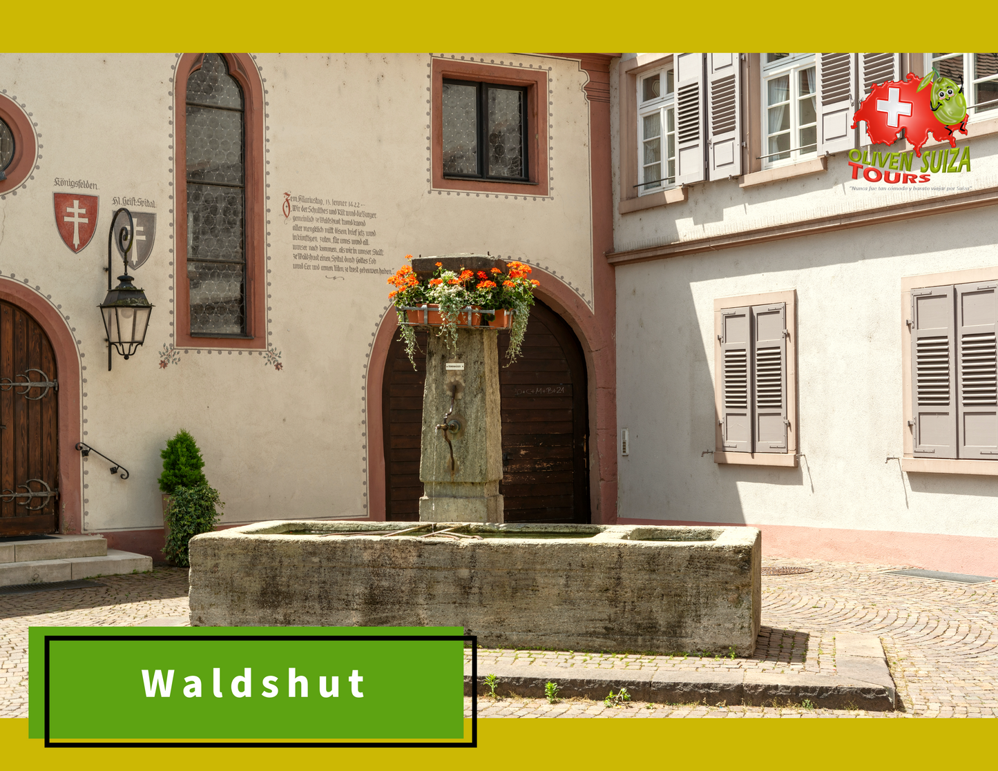 Regional: Basilea - Castillo Hallwyl - Pueblo Saint Ursanne - Waldshut Tiengen (Alemania)