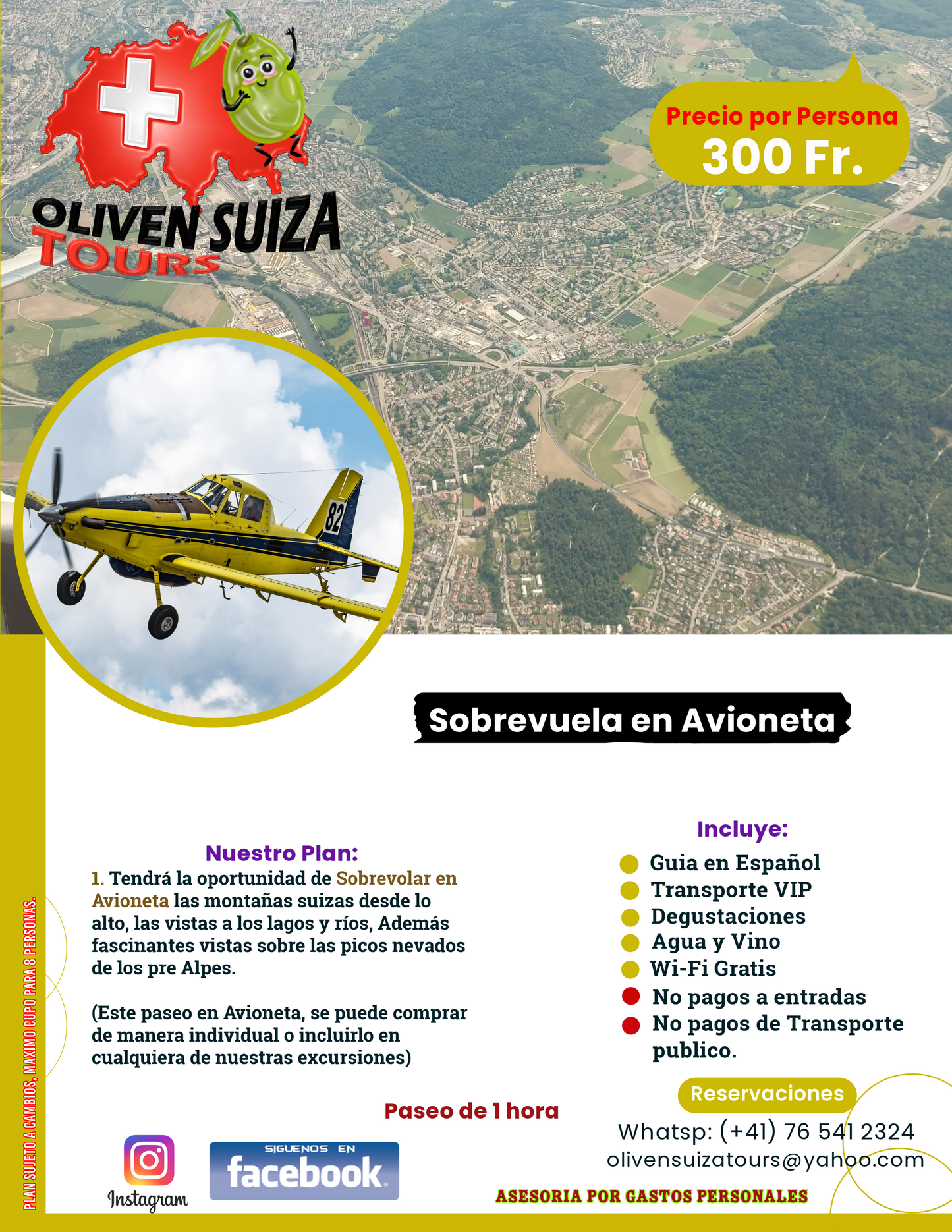 Sobrevuela Suiza en Avioneta